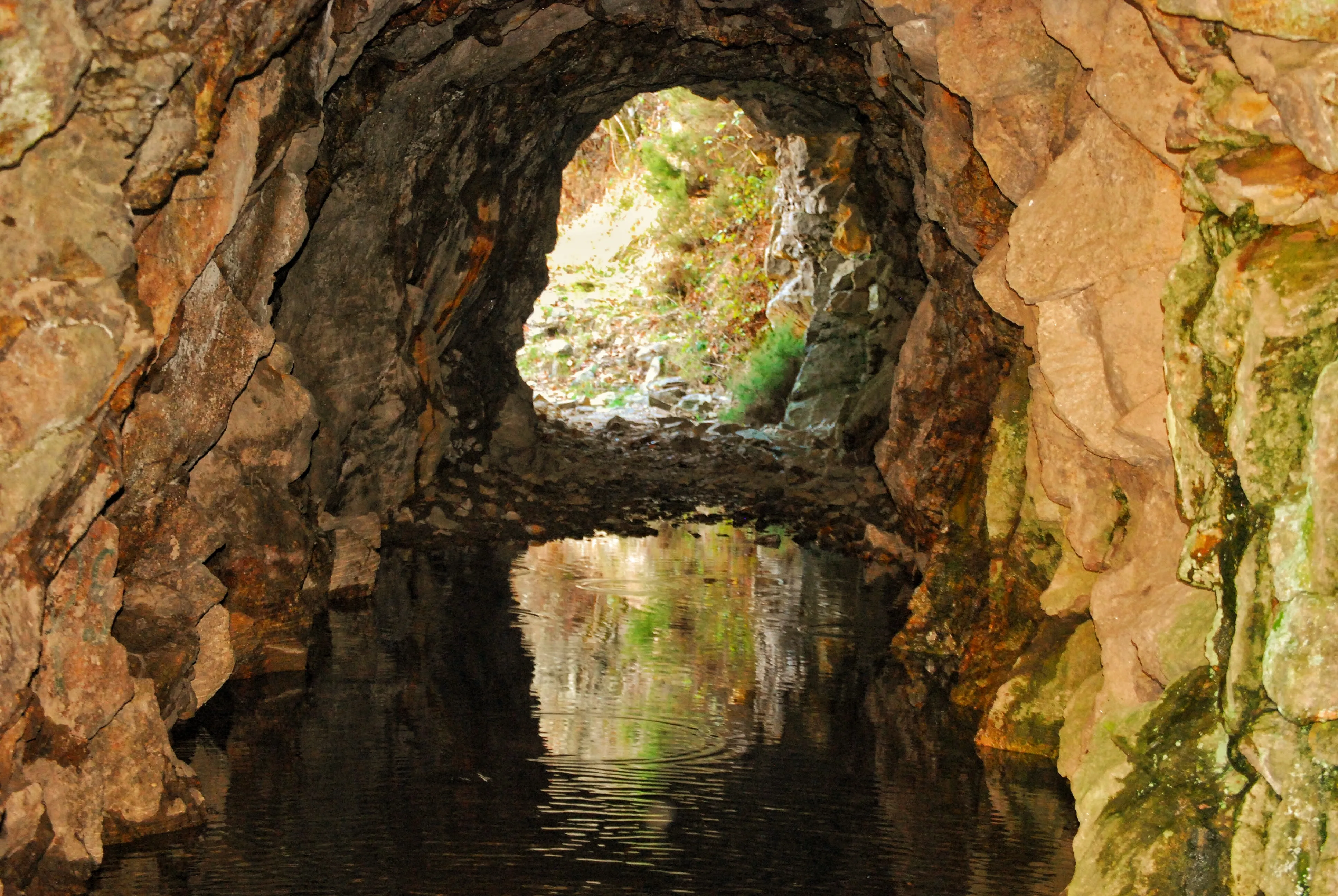 Borralha Quarry · interpretive walk