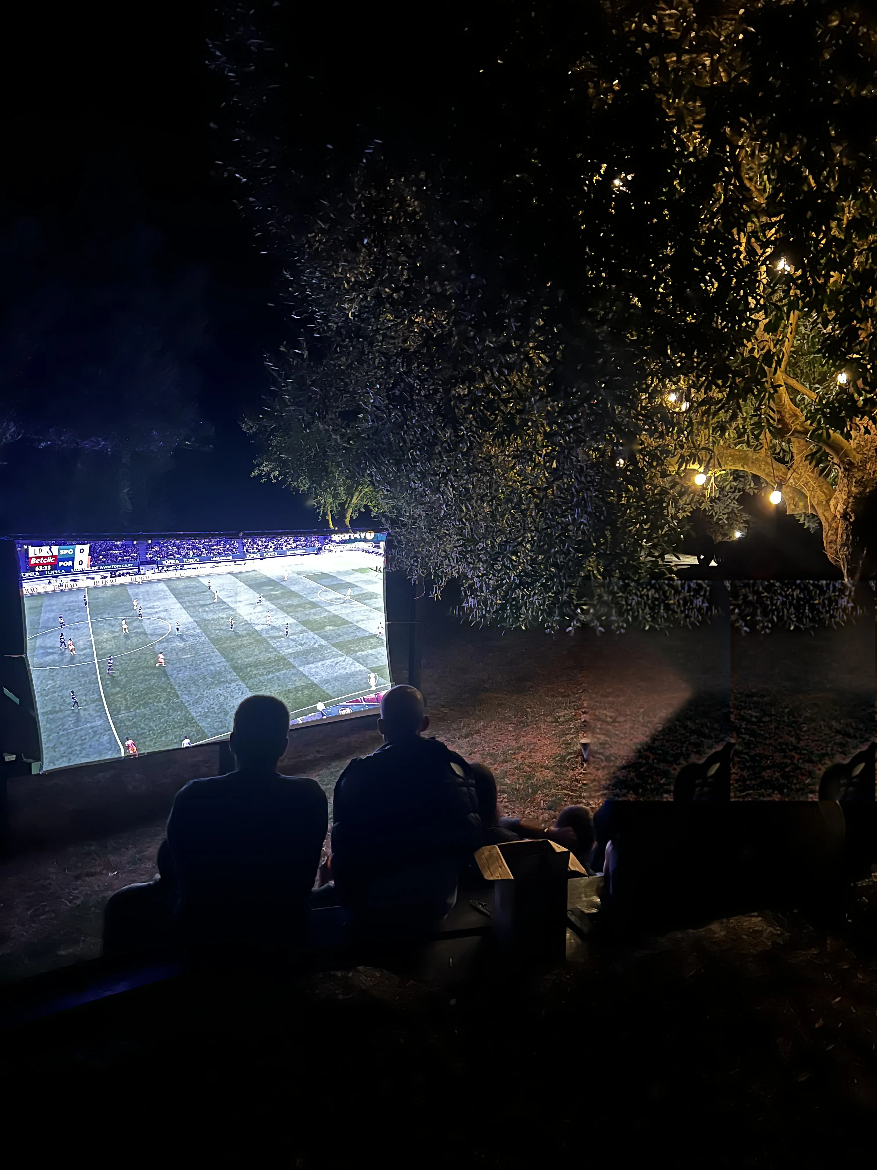 Outdoor Cinema