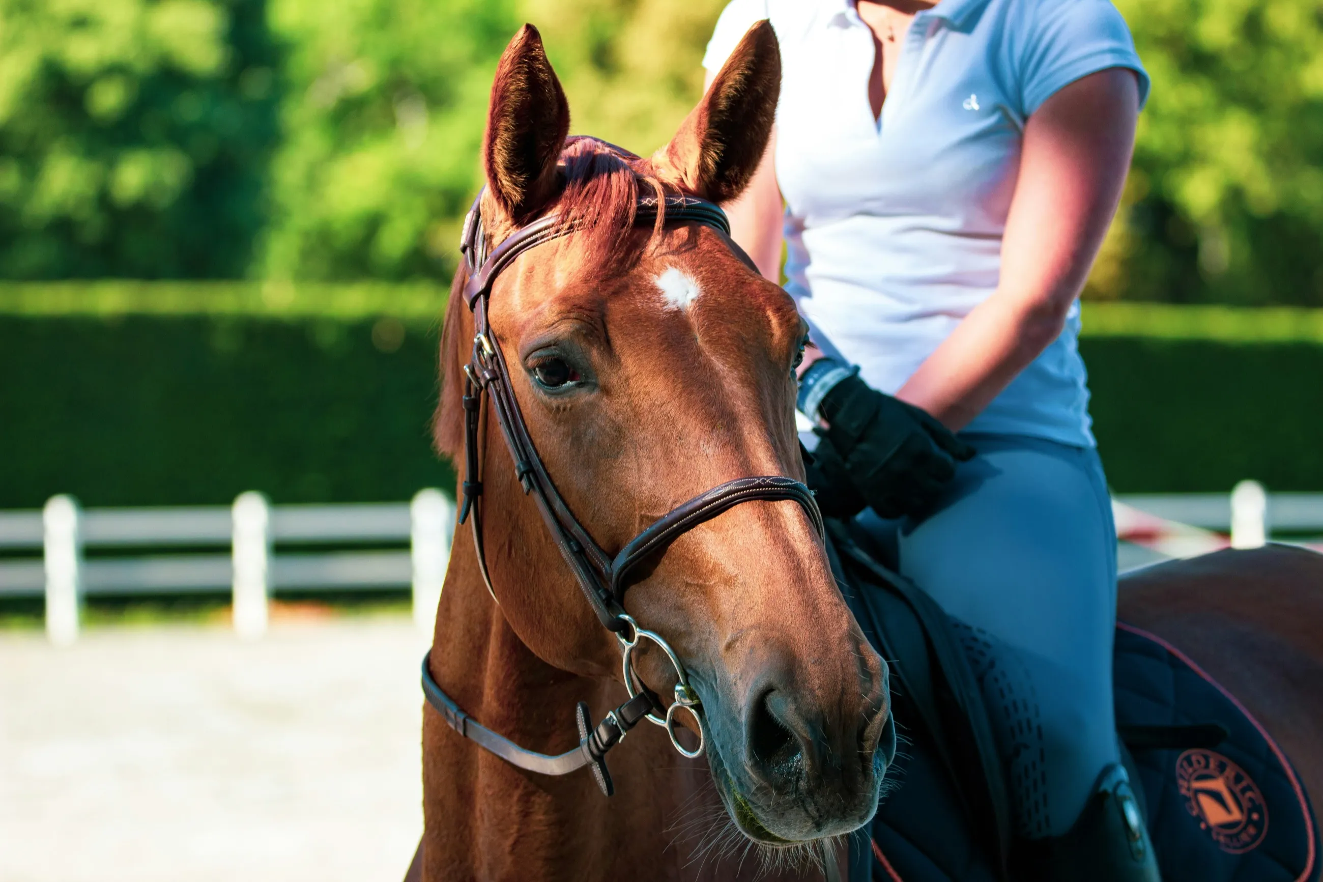 First Horse Ride