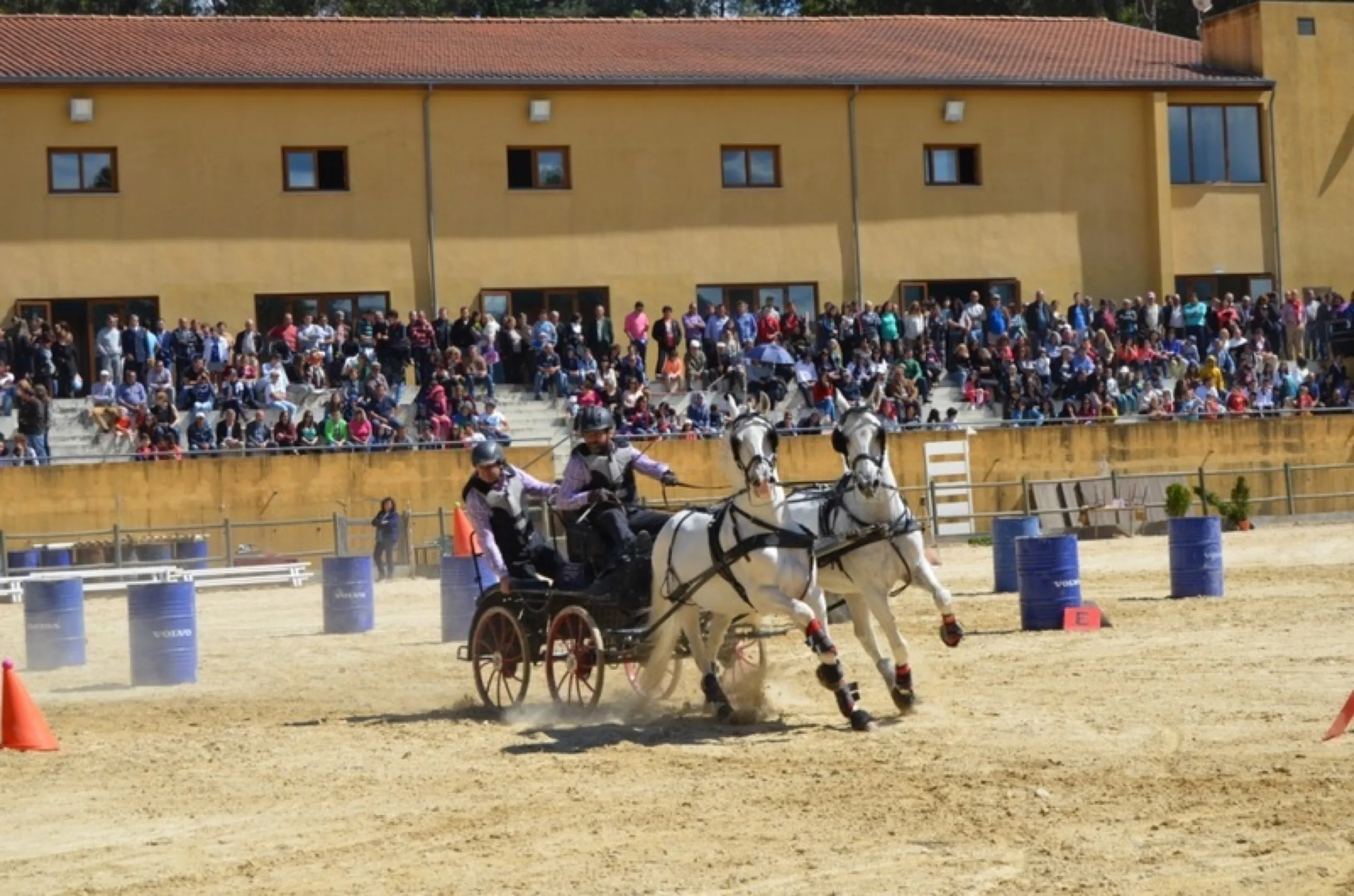 Horse Riding