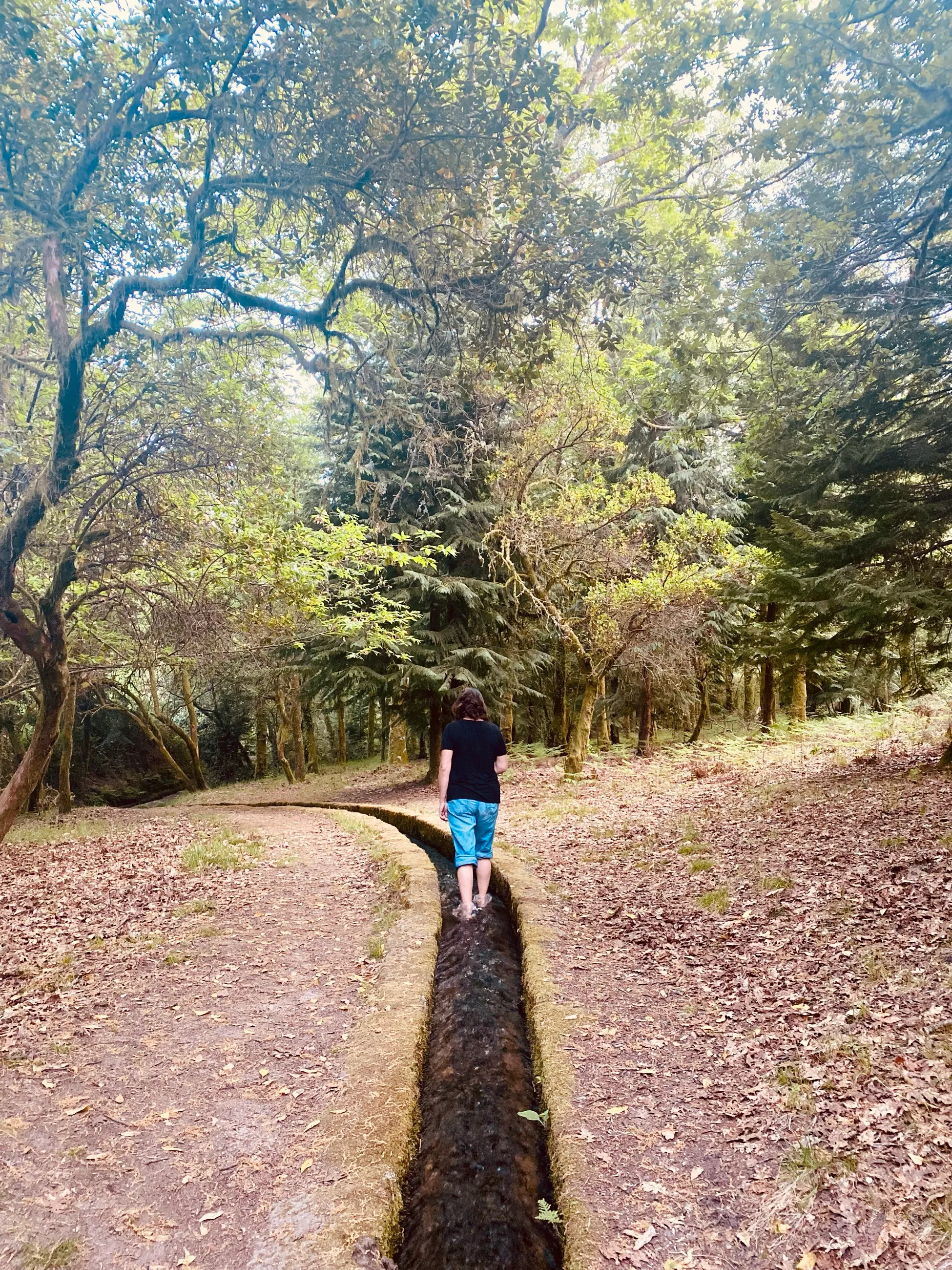 Guided Nature Walk