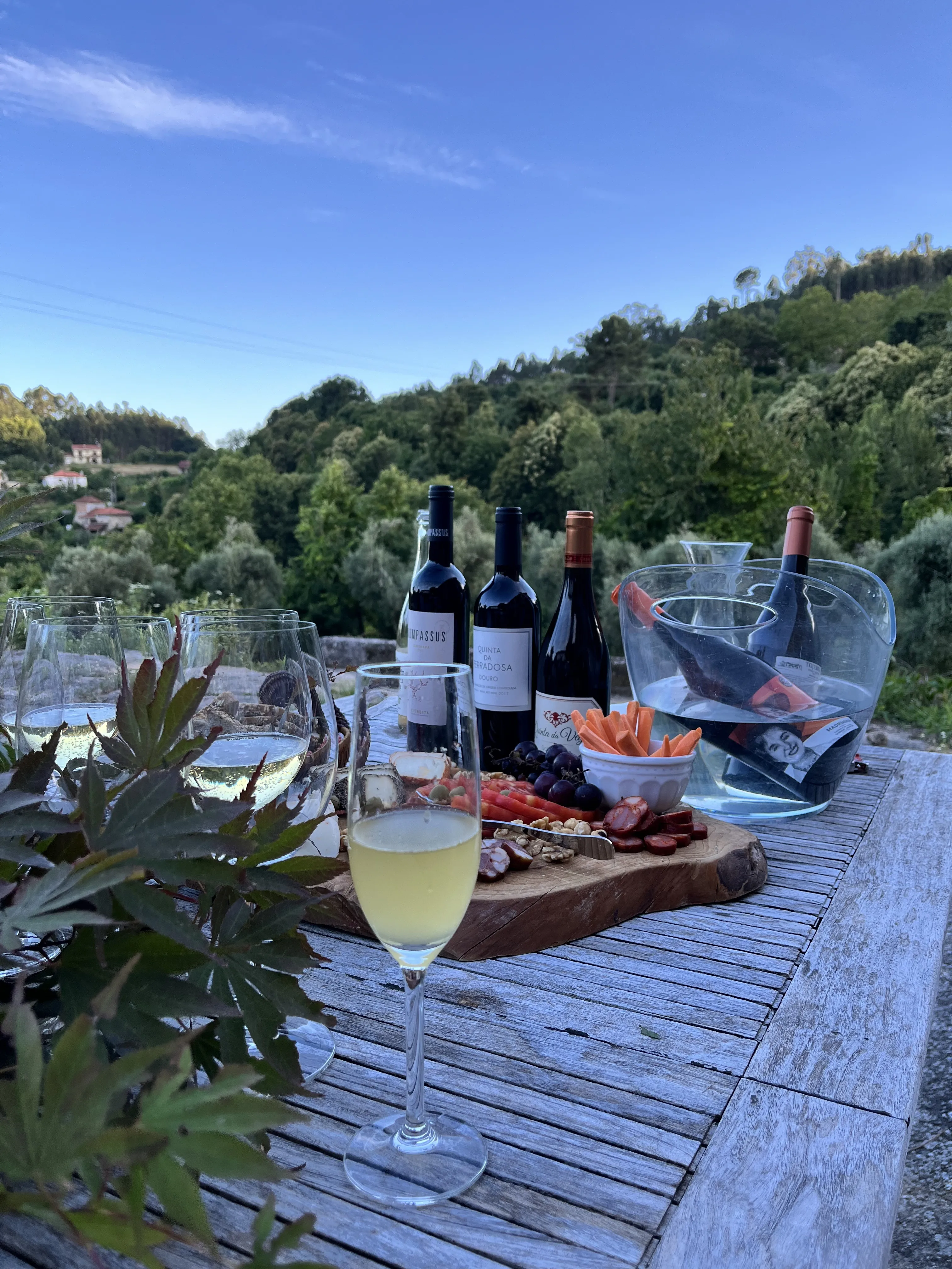 Portuguese Wines · A luxury bargain