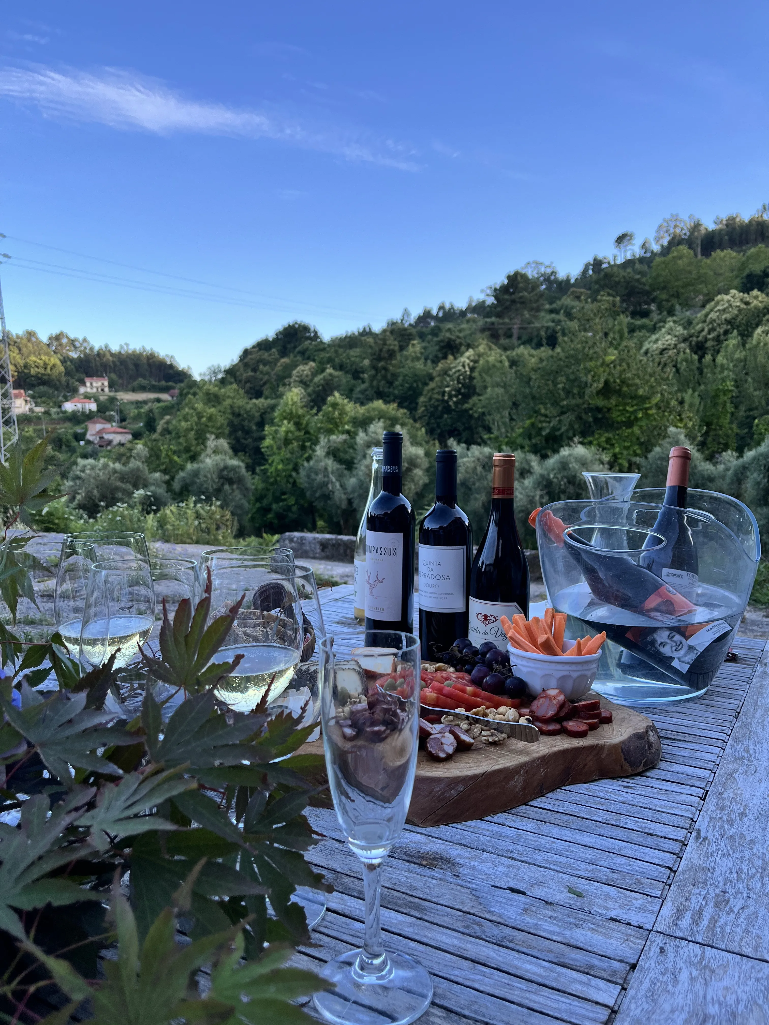 Wine Tasting · The wonders of the Verde Region