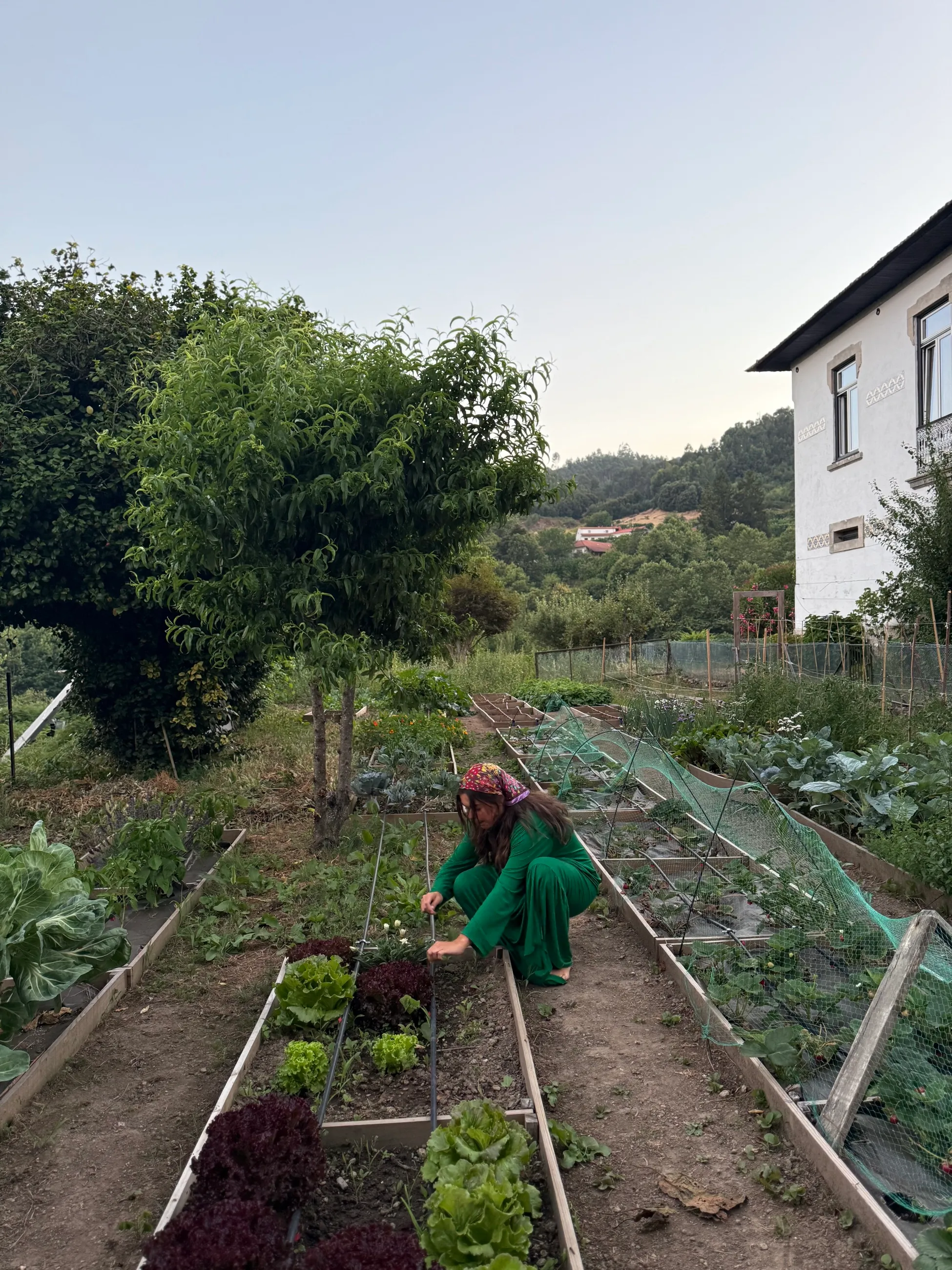 A Day at Quinta do Rapozinho: the Charm of Rural Portugal
