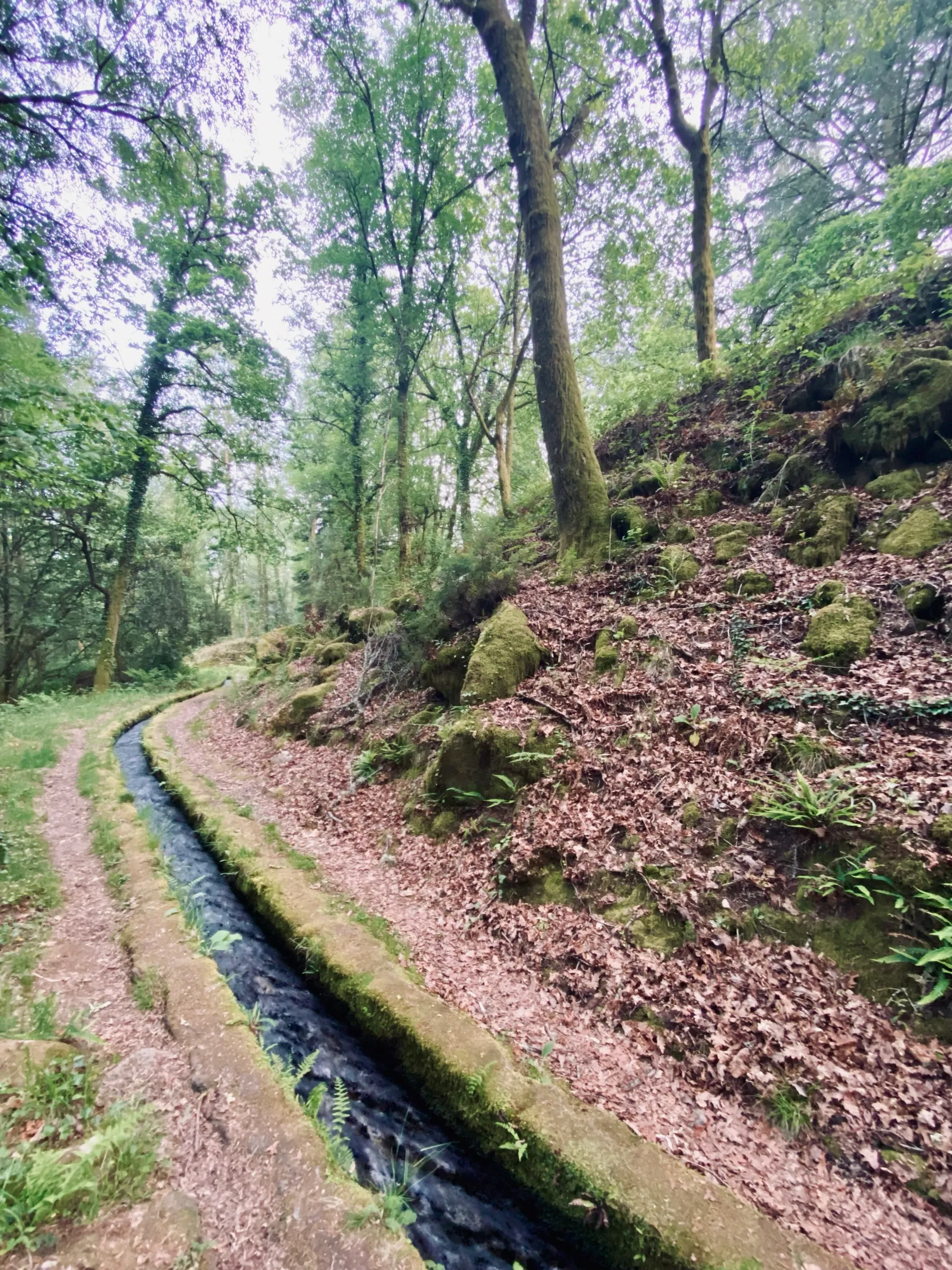 The Essential Return to Nature