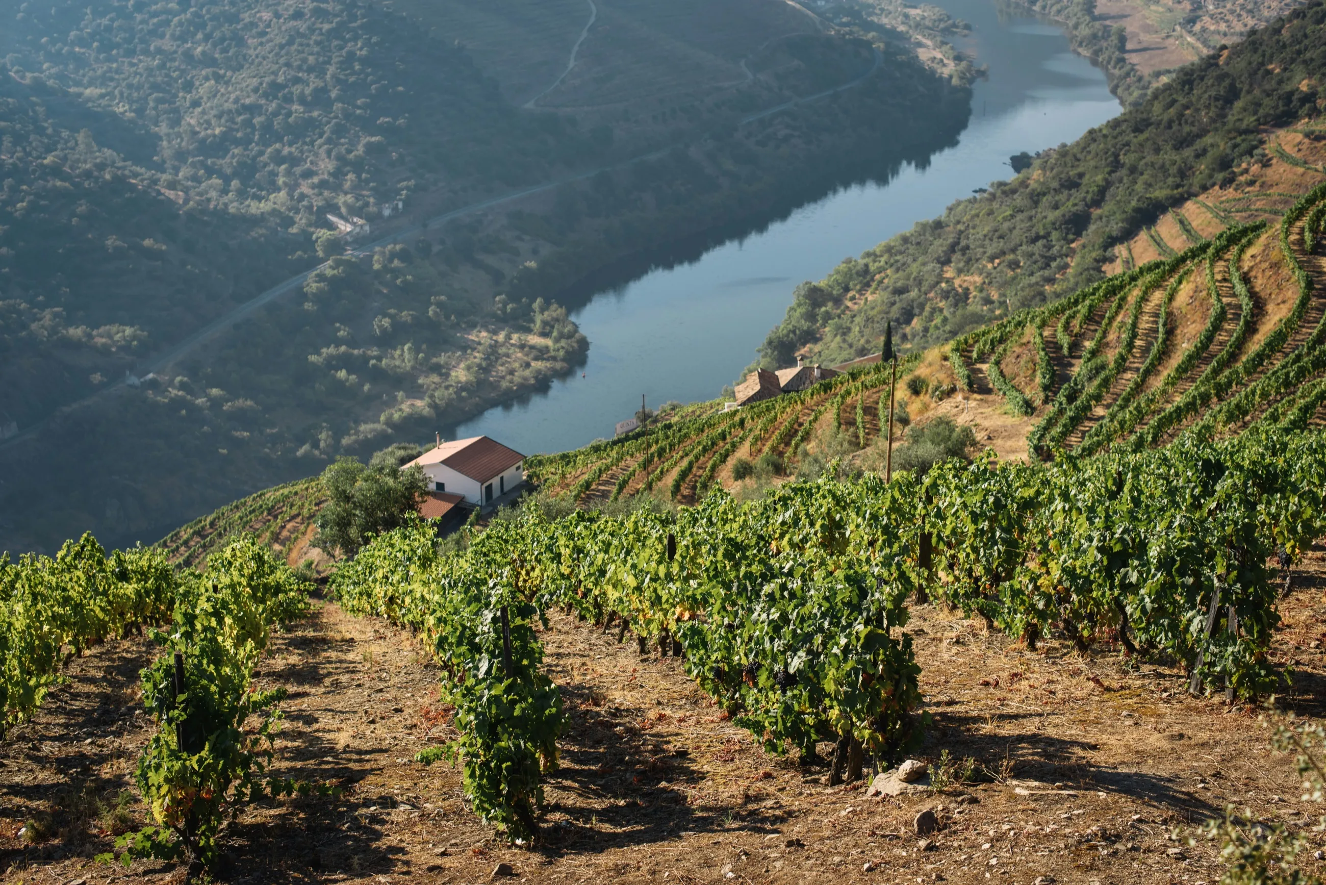 Douro Valley