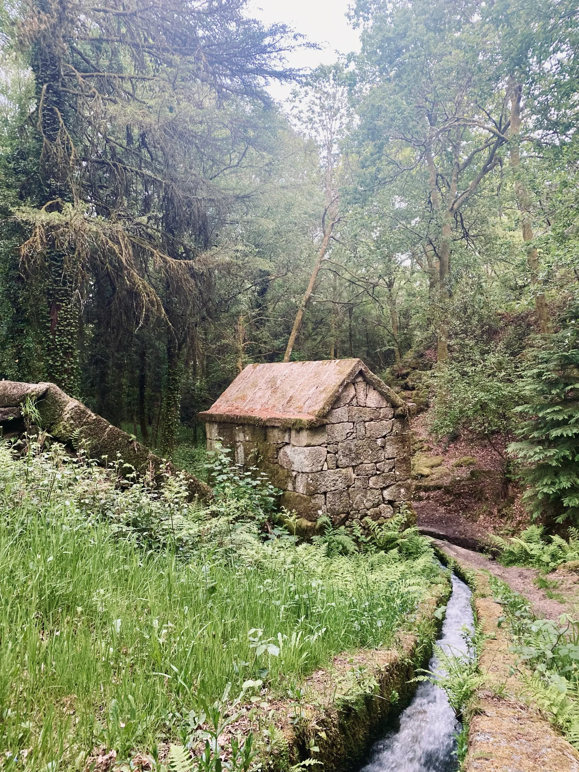 Moinhos-de-Rei